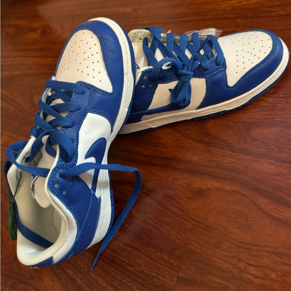 Nike dunk low in royal blue